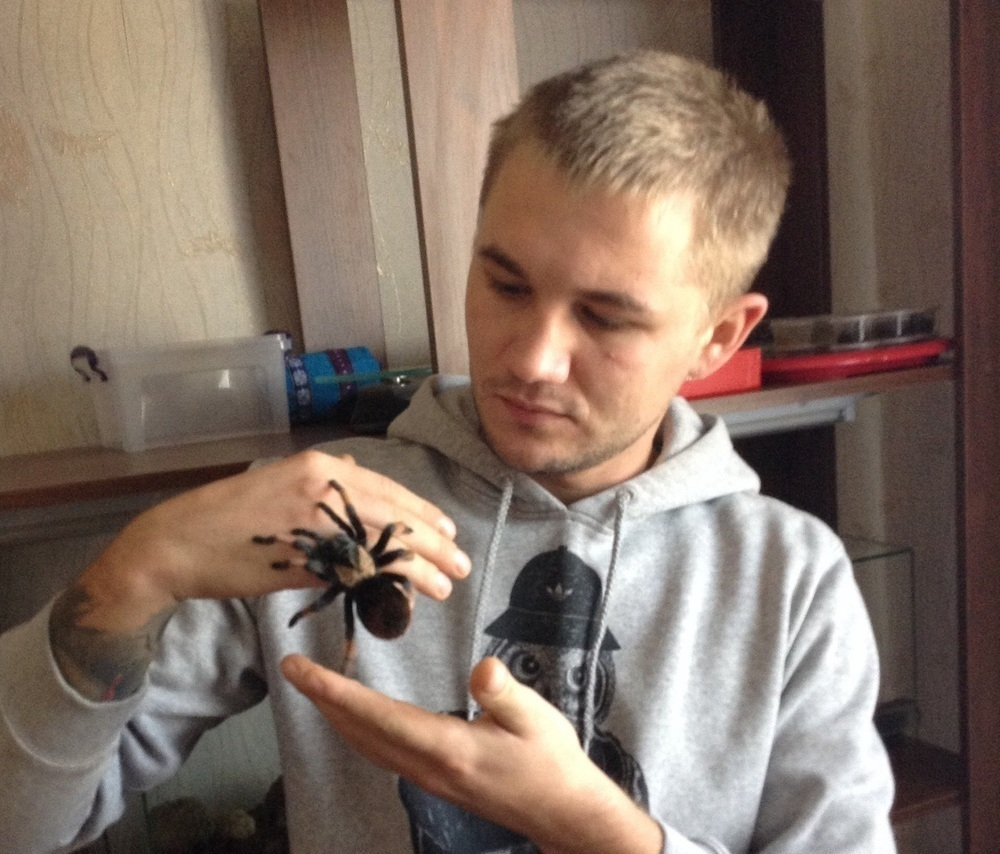 Житель Морозовского района держит дома ядовитых пауков, тараканов и змей