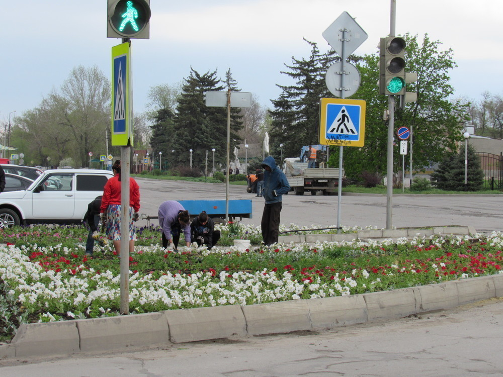 Возле Морозовской районной Администрации 21 апреля высадили много цветов