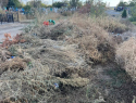 С кладбищ Морозовска за год было вывезено 700 кубометров мусора