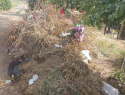 «Вывоз мусора начнется с 10 июня»: глава администрации города прокомментировал мусор на могиле ветерана 