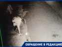 Подростки украли фонарик и попали в объектив камеры наблюдения в Морозовске