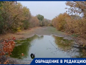 «А в детстве в ней купались»: морозовчане бьют тревогу о состоянии реки Быстрая