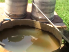 Свиньям и козам пойдет - питьевая вода в хуторе Вальково Морозовского района оставляет желать лучшего