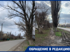 «Ветви тополей падают людям на головы»: морозовчанка обратила внимание на состояние деревьев по Ворошилова