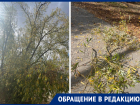 Ветки упали на голову жительнице Морозовска в «Тексере»