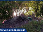 Скоро сомы будут с венками на шее плавать! - житель хутора Новопроциков