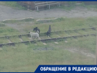 «Разорвут ребенка только так»: морозовчанка пожаловалась на свору безнадзорных собак у железнодорожной станции