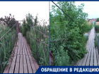 «Здесь ходить опасно!»: морозовчанка обеспокоена разросшимся камышом на пешеходном мосту