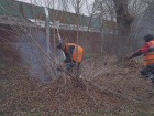 В Морозовске прошлись по сухим веткам, чтобы обезопасить людей и тротуары