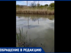Серо-зеленая вода и вонь: председатель СНТ "Заря" в Морозовске снял на видео реку Быструю