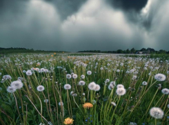 +22 градуса и без дождя будет в Морозовске в четверг, 20 мая