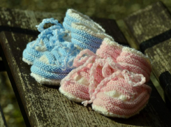 Первая двойня этого года родилась в Морозовске в последний месяц лета