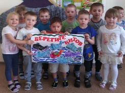 Целый ряд тематических мероприятий провели в детском саду «Сказка» в честь Всемирного дня защиты морских млекопитающих