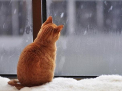 Среда в Морозовске будет снежной и ветреной