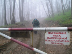 Морозовчанам запретили посещать лес, сжигать траву и разводить открытый огонь