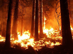 Ожидается чрезвычайная пожароопасность местами по Ростовской области