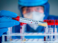 11 августа: плюс два новых случая COVID-19 выявлено за сутки в Морозовском районе