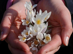 Потепление до +14 градусов обещают морозовчанам в субботу