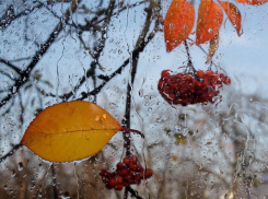 К концу рабочей недели в Морозовске ожидаются дожди и понижение температуры