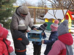 Экологическая акция «Устроим птицам праздник» прошла в детском саду №3 Морозовска 
