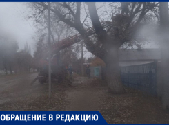 Опилили только одну сторону! – морозовчанка об аварийно-опасном дереве на улице Ворошилова