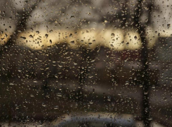 Потепление и дождь обещают морозовчанам в субботу, 25 ноября