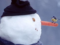 Среда для морозовчан пройдет без осадков