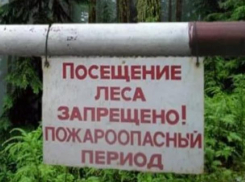 Прокурор Морозовского района назвал сроки запрета на посещение леса