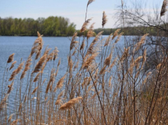 Каждую третью субботу мая в Ростовской области будут отмечать новый праздник – День реки Дон