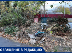 Все вечно всем недовольны, зато сами порядок не в состоянии сохранять, - морозовчанка о свалке на улице Ленина