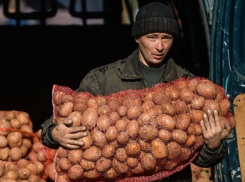 Ярмарки в Морозовске и Ростовской области скоро станут более организованными