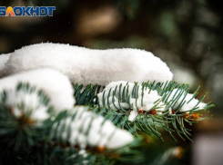 Внимание водителям и пешеходам: снег с дождем обрушатся на Морозовск