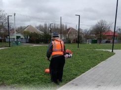 В Морозовске идет массовая борьба с сорняками