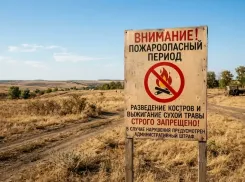 Костёр на участке может обойтись дорого: жителям Морозовска напомнили о жёстких запретах