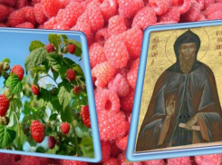 О традициях и народных приметах в день Антона Вихровея рассказала культорганизатор Вишневского СК