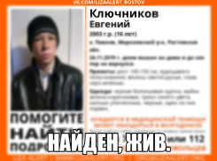 Пропавшего в Морозовском районе подростка нашли живым