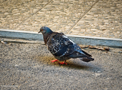 Спасибо, что тепло: прогноз на вторник 