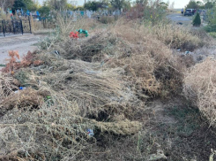 С кладбищ Морозовска за год было вывезено 700 кубометров мусора