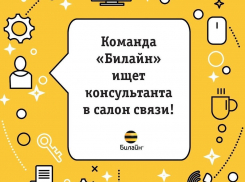 Открыта вакансия «Консультант в салон связи «Билайн»