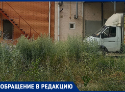 Трава на улице Кирова возле дома 128 в Морозовске выросла ещё выше