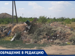 1/2 мусора заберут из кучи, а на остальное оставляют на потом, - морозовчанка о кладбище