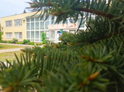 В МФЦ уже можно идти без сертификата о вакцинации