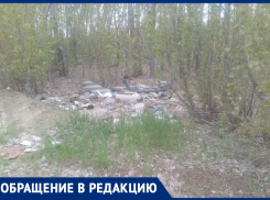 У людей совсем нет совести: Маленький лесок в «Лазориках» забросали мусором и контрацептивами