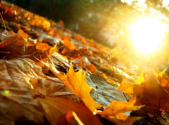 Конец недели в Морозовске будет теплым и солнечным