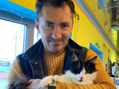 Как кошка Буля пропала в июле в Морозовске, а нашлась в сентябре в хуторе Вербочки