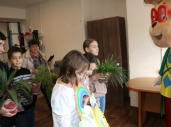 Ребята из социального приюта Морозовского района подарили молодежному центру комнатные цветы 