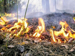 Готовить пищу на углях «на природе» в Морозовском районе нельзя, - начальник пожарно-спасательного гарнизона