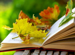 Ветрено и немного облачно будет в Морозовске в воскресенье, 10 сентября