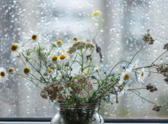 Снова дождь: ветреную и сырую погоду обещают морозовчанам в среду