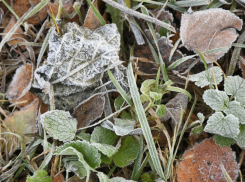В ближайшие четыре дня возможны заморозки в южной половине Ростовской области